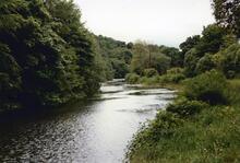 Kilsyth 1989