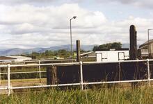 Falkirk Locks Bankside 1989
