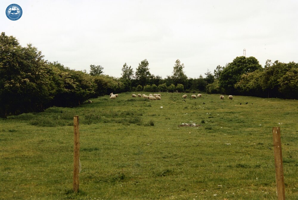 Glensburgh 1989