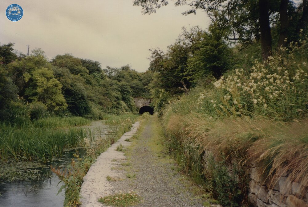 Falkirk Tunnel South Portal 1988