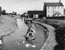 'Cypress' and 'Exeter' approaching Audlem Wharf  (1959)