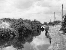 Narrows ('The Rockin') south of Bridge 5.  8 September 1971
