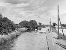 Looking north from Upper Hattons Bridge (5).  8 September 1977