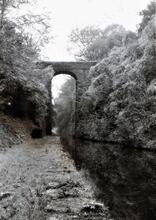 Woodseaves Cutting: High Bridge (57)