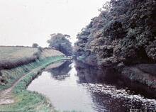  Tyrley Locks: Lock 4 