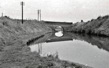  Adderley Wharf Bridge (69)