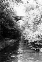Woodseaves cutting. High Bridge No 57, looking north