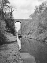 High Bridge (57), Woodseaves Cutting  (1986)