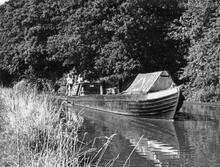 'Dragon' between Hollings Bridge (58) and Tyrley Farm Bridge (59)  (1973)