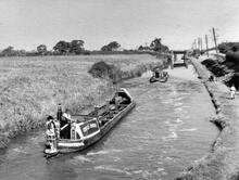 'Collingwood' and 'Kidsgrove' north of Coole lane Brdige (82)  (1959)