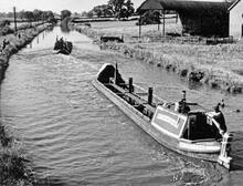 'Collingwood' and 'Kidsgrove' north from Fox Bridge (52)  (1959)