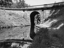 Avenue Bridge (10) (1966)  