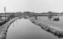 Looking north from Park Bridge (27) (1960)  
