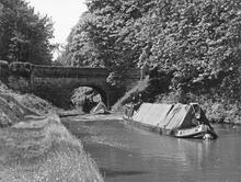  'Kangaroo' towing 'Roach' and 'Dace' at Cowley Bridge (32) (1957)  