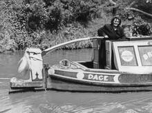 Mrs Dean steering 'Dace' at Cowley Bridge (32) (1957)  
