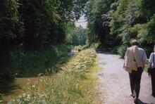 Coalport 1989