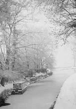 Snow scene. 