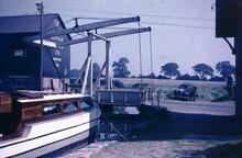 KINGFISHER at Wrenbury, Llangollen Canal, Sep 1959