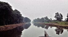 Whixall Moss. 8/1960