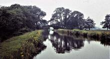  Looking from Whixall towards Bettisfield. 8/1960
