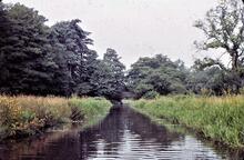 View towards Ellesmere. 8/1960 