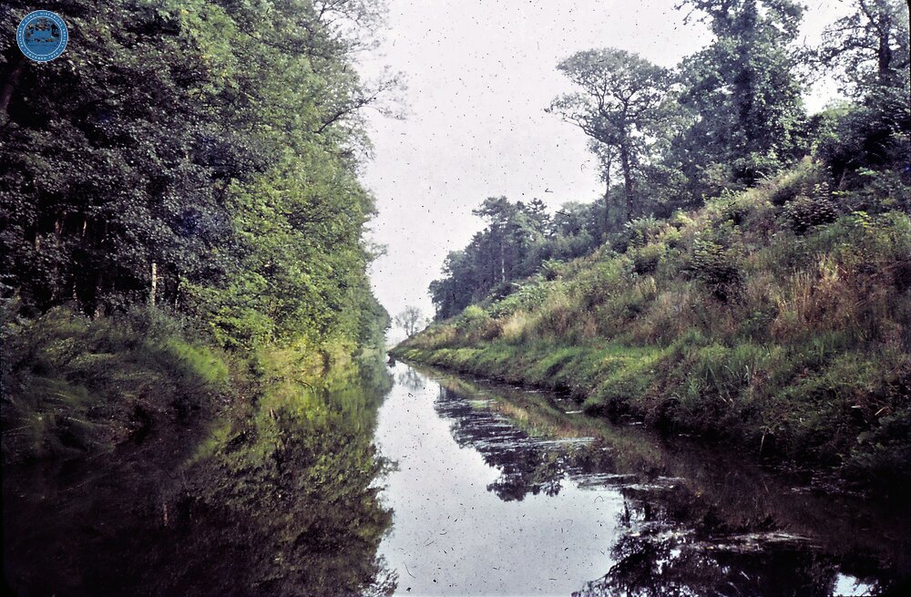 Cutting at North End Chirk Tunnel. 9/1960 