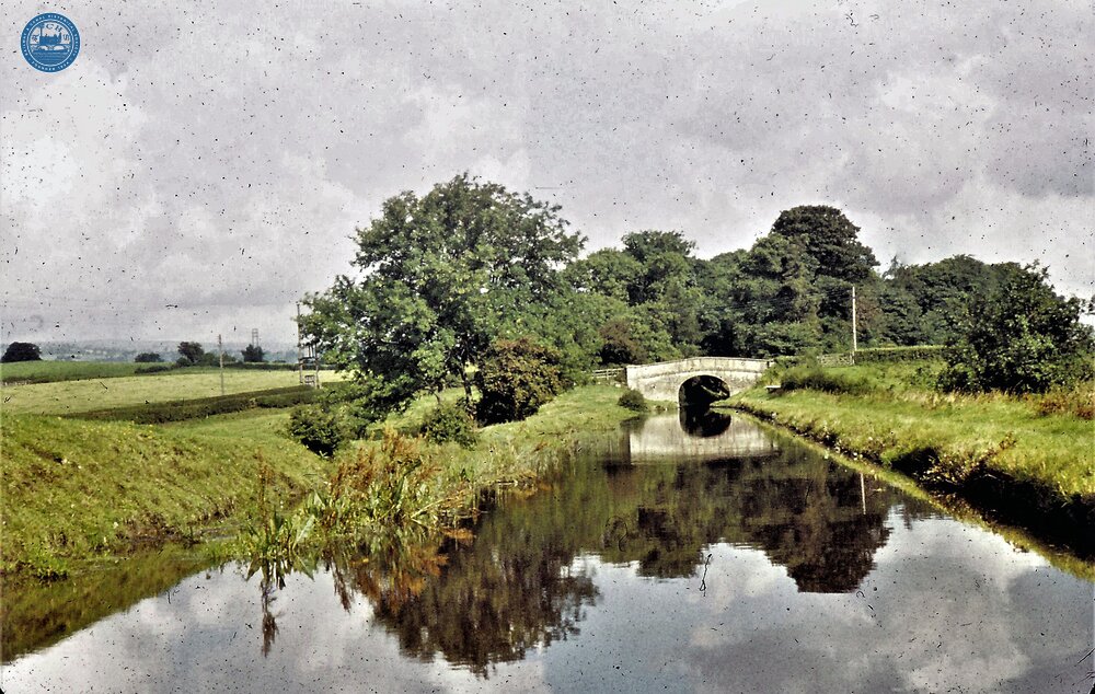 Cutting immediately after N end of Whitehouses Tunnel. 9/1960