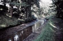  Canal bed 'immdeiately' after Bryn Howel breach. 9/1960 