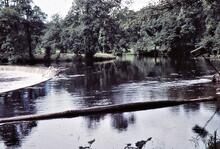 Horseshoe Falls. 9/1960 