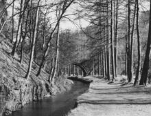 Llangollen Canal. Kings Bridge (49A). 12 March 1966.