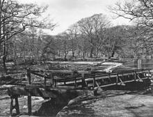 Horseshoe Falls. 02 March 1958
