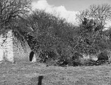 Quina Brook, limekilns  (1959)
