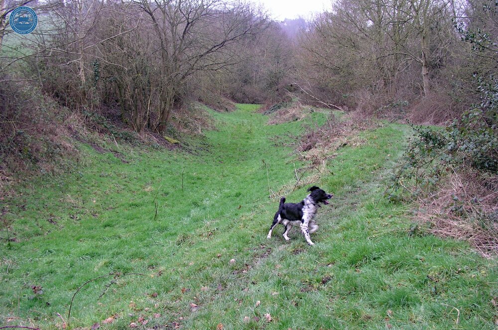 Ffrwd Branch - near Sydallt