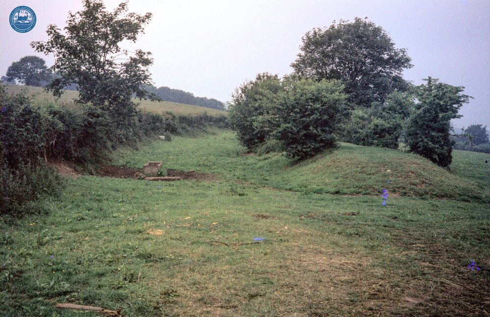 Ffrwd Branch, looking North from Grid Ref. 313545. 16 June 1984