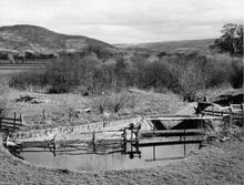 Wern - overflow weir providing water to the corn mill  (1961)