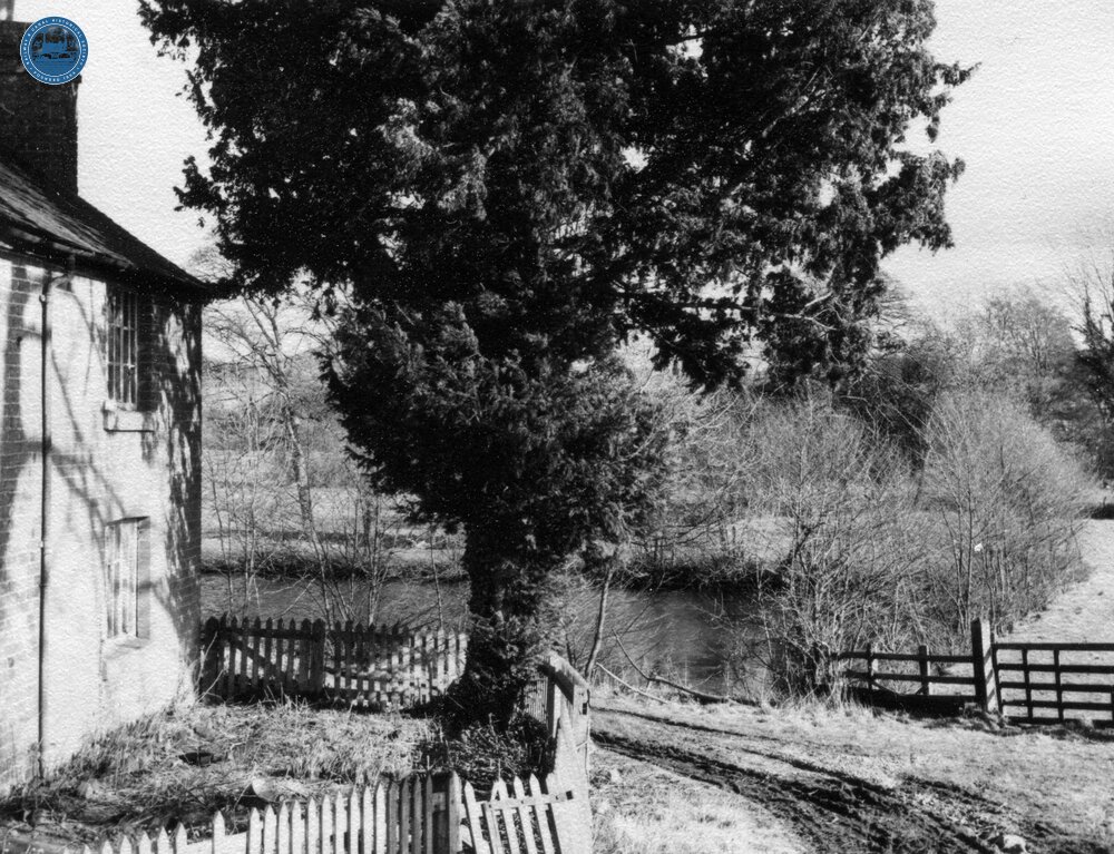 Guilsfield Arm - terminal basin at Tyddyn  (1960)