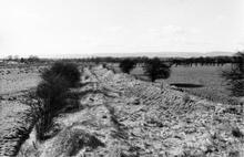 West from Hordley Bridge  (1959)
