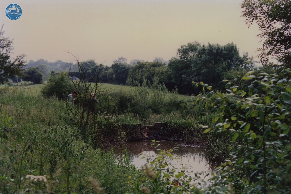 Norbury 1988