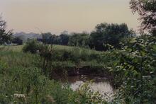 Norbury 1988