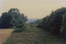 Sutton 1988