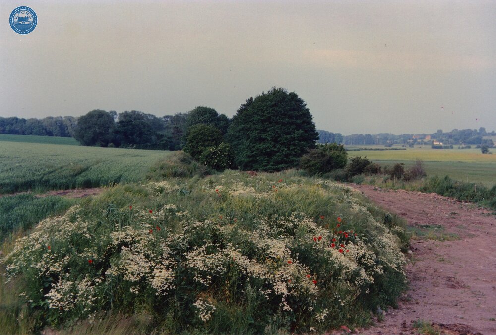 Longford 1988
