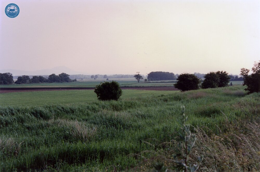 Adeney 1988