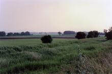 Adeney 1988