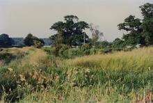 Preston Upon The Weald Moors 1988