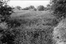 Looking along derelict Newport branch from Norbury lock 4 to lock 3