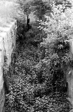 Newport Branch. Remains of Norbury No 4 Lock