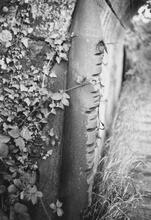Newport Branch Bridge. Ca 1970