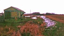 Humber Arm: Lubstree wharf and warehouse (1966)