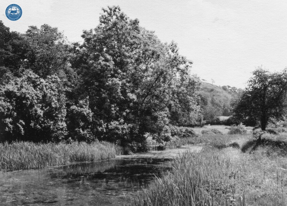 Uffington, west from site of Kennels Bridge (43)  (1962)
