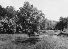 Uffington, west from site of Kennels Bridge (43)  (1962)